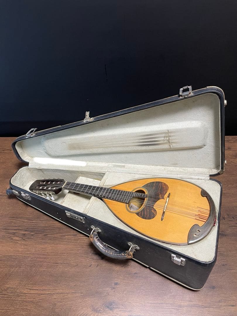 SUZUKI スズキ M-50 マンドリン ハードケース付き