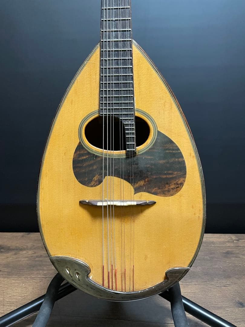 SUZUKI スズキ M-50 マンドリン ハードケース付き