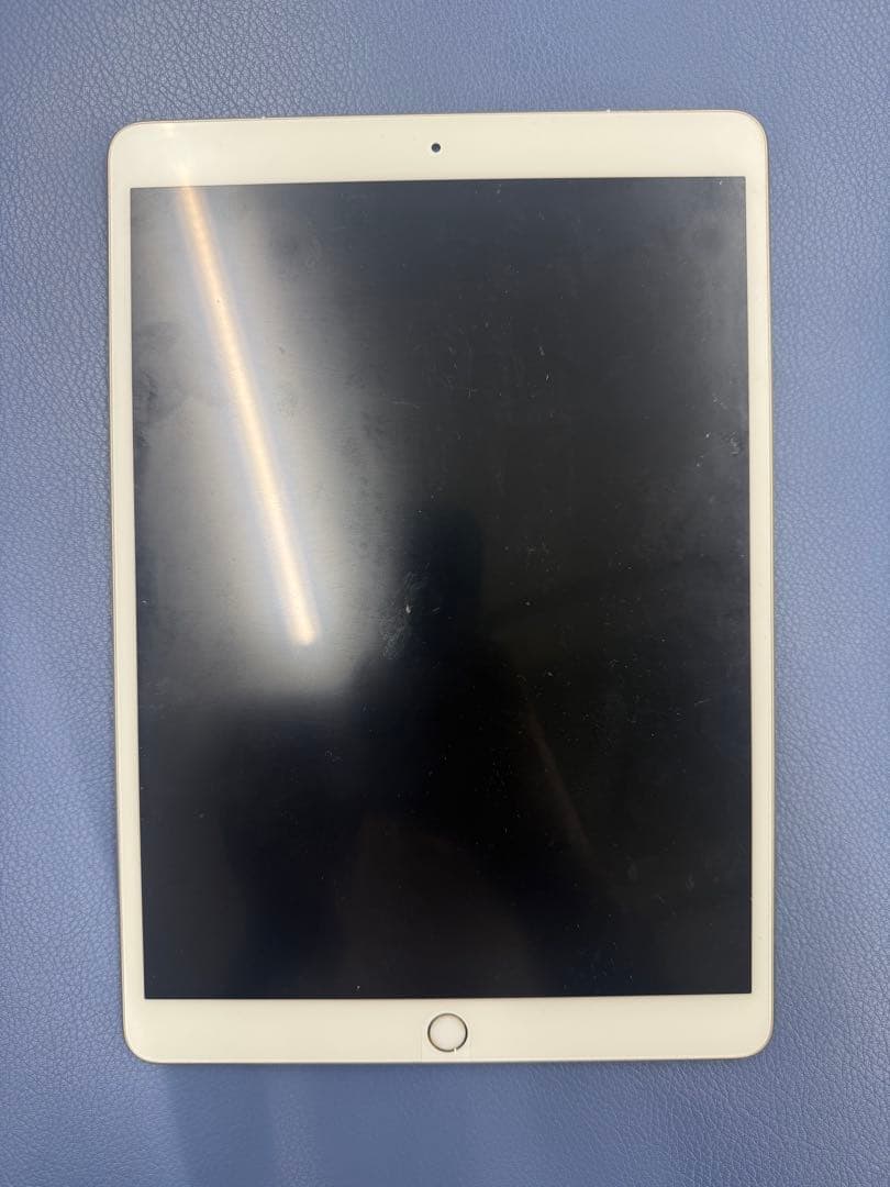 【プチトマトiPad Pro 10.5インチ　Apple Pencil付き