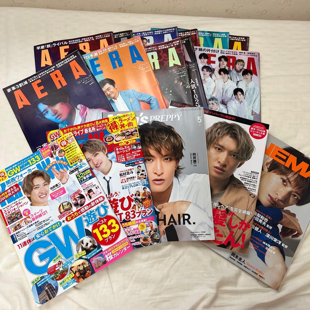 向井康二 まとめ