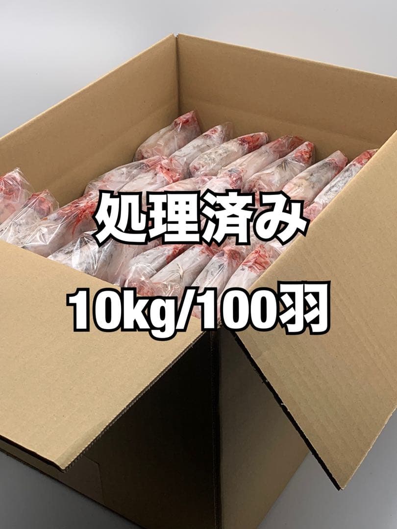 処理済み冷凍うずら（10kg/100羽）【送料込】