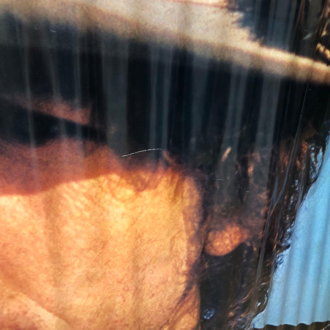 超希少　ボブディラン　初来日公演　武道館　特大ポスター　当時物　オリジナル