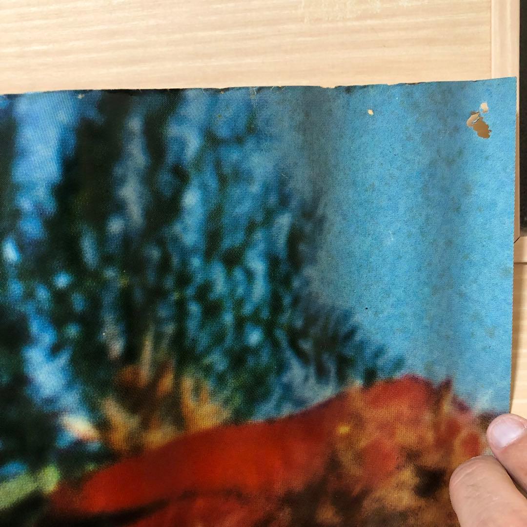 超希少　ボブディラン　初来日公演　武道館　特大ポスター　当時物　オリジナル