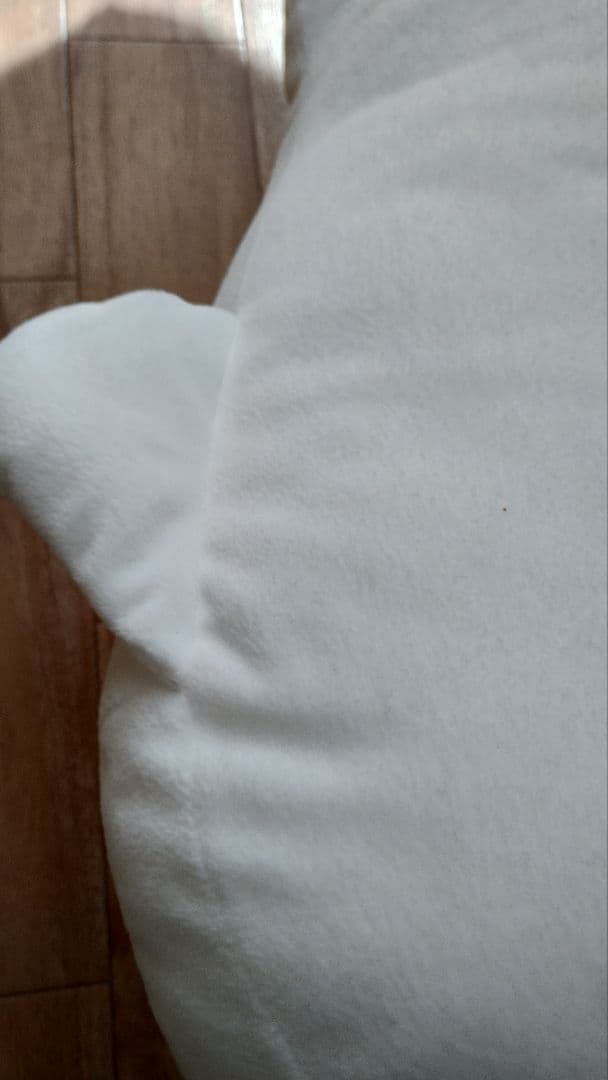 まめゴマ　しろごま　ぬいぐるみ　XL プレミアム　2018　サンエックス　特大