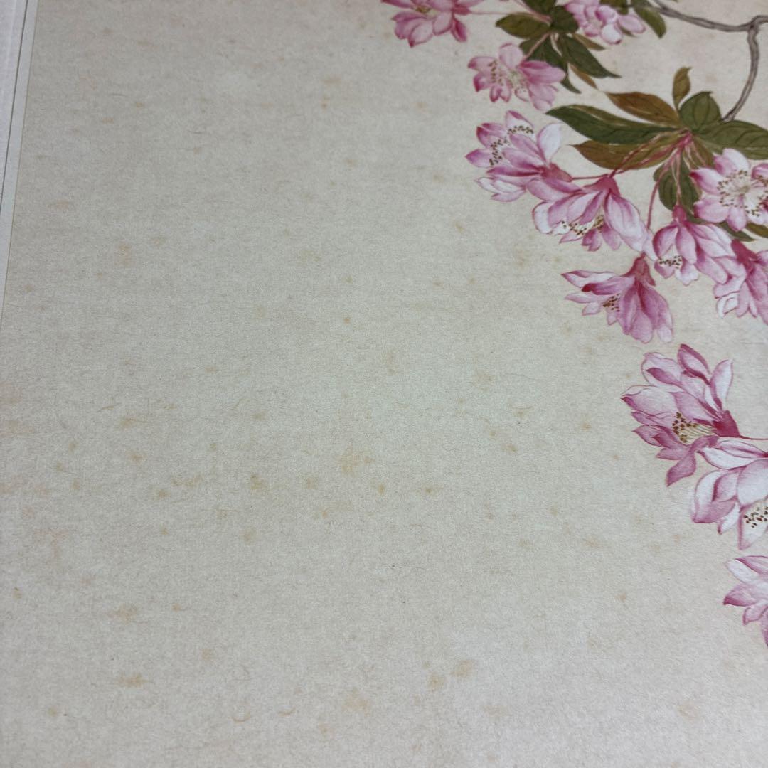 故宮博物院の名蹟 清うん壽平王き花卉山水合冊 二玄社　定価19000円