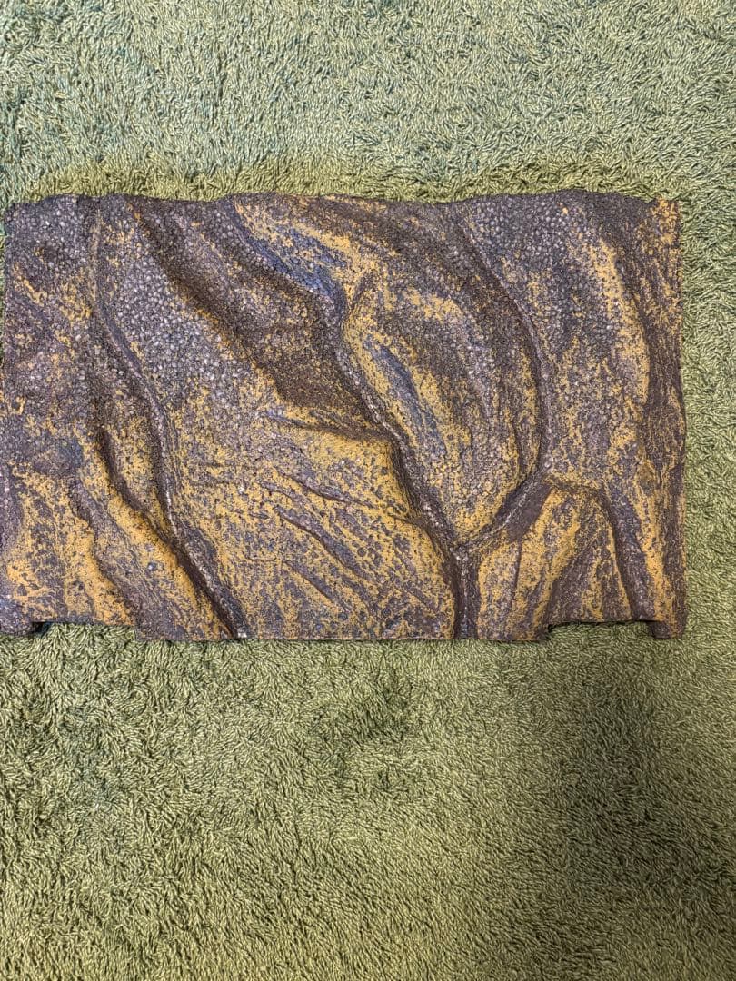 GEX ジェックス グラステラリウム4530 飼育セット