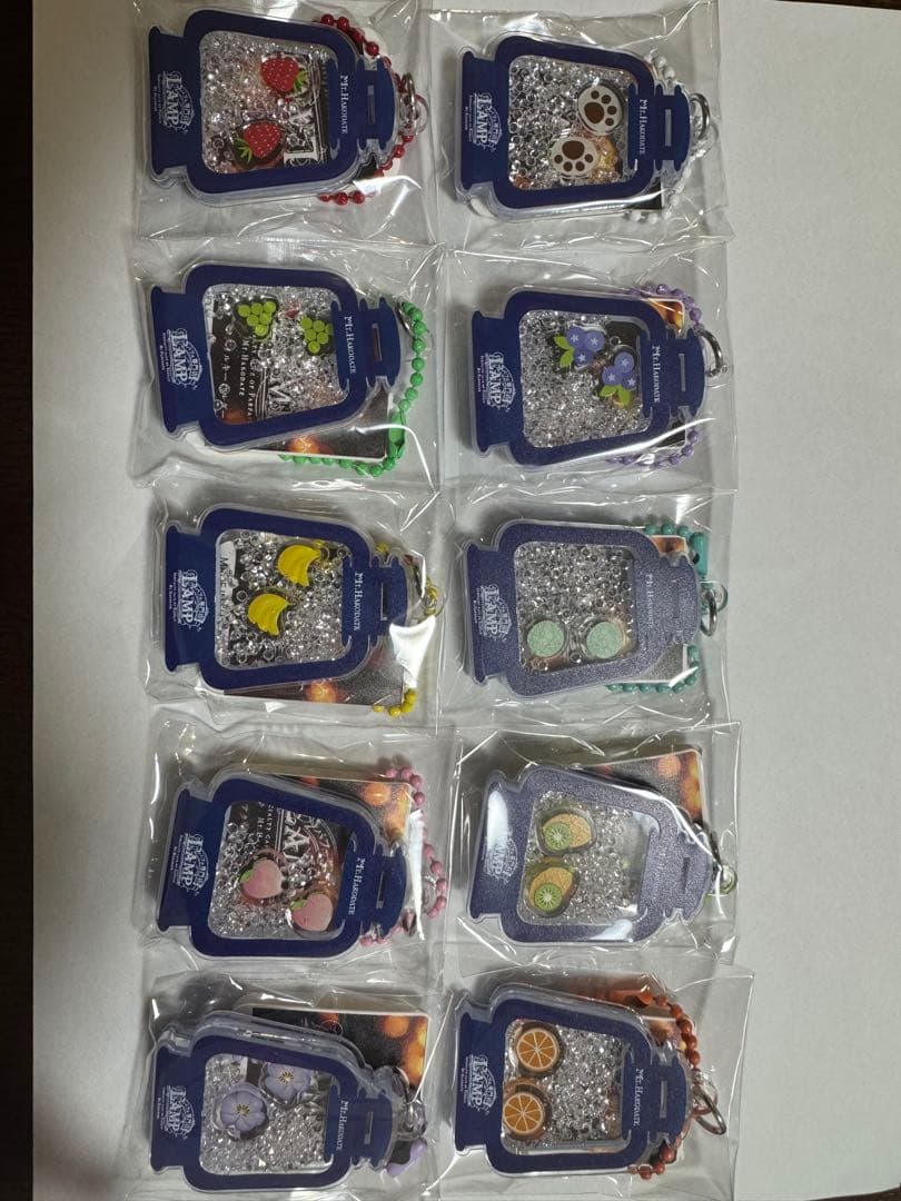 LAMPキーホルダー　箱館山　10種類コンプ　琵琶湖キーホルダー　ZOOM