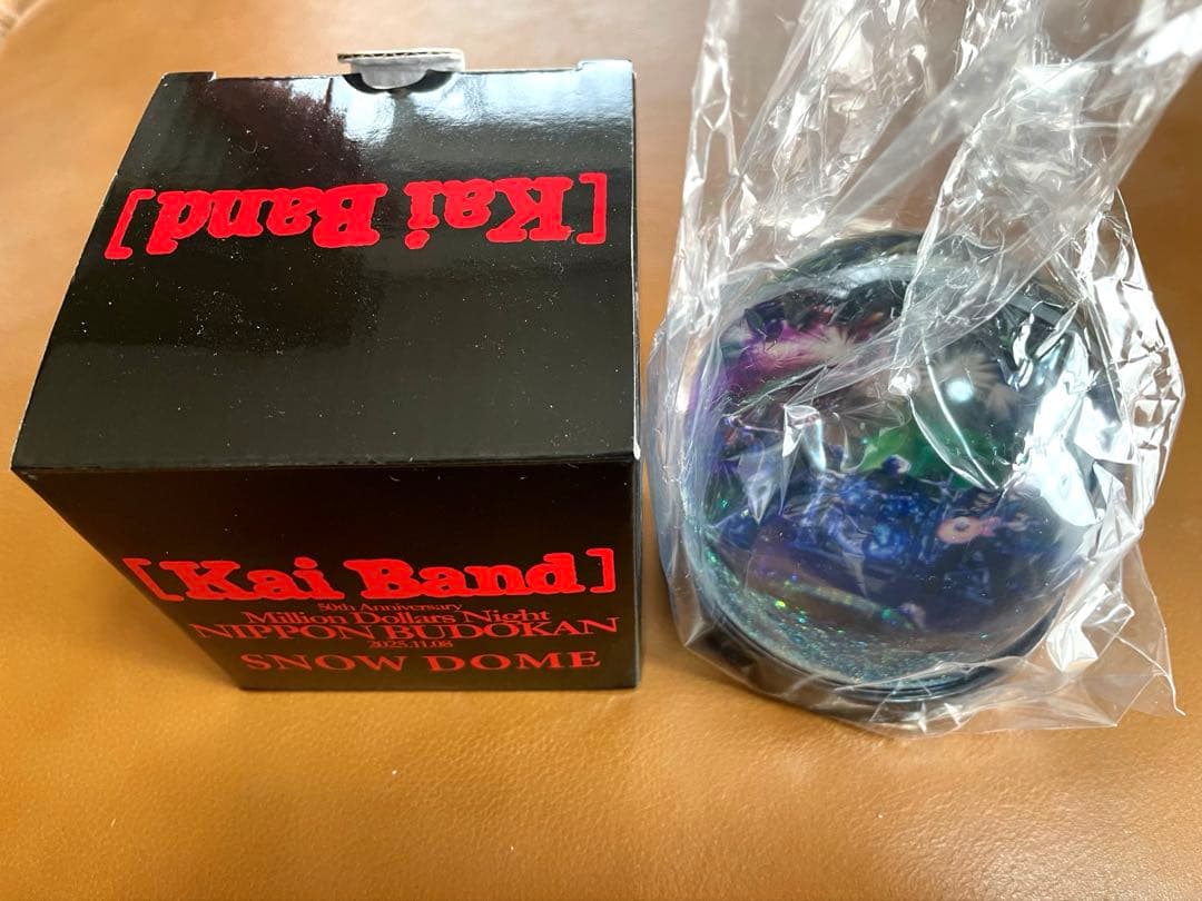 ★限定・非売品★甲斐バンド 武道館ライブ特典 スノードーム