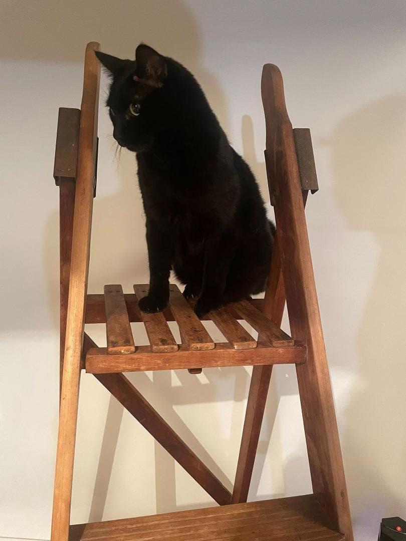 はぎーさん専用