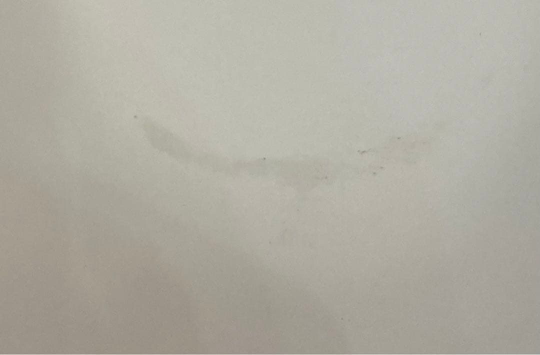 さ*ん様 【15291】立体ポケモン図鑑　40/1 ホエルオー　希少　レア