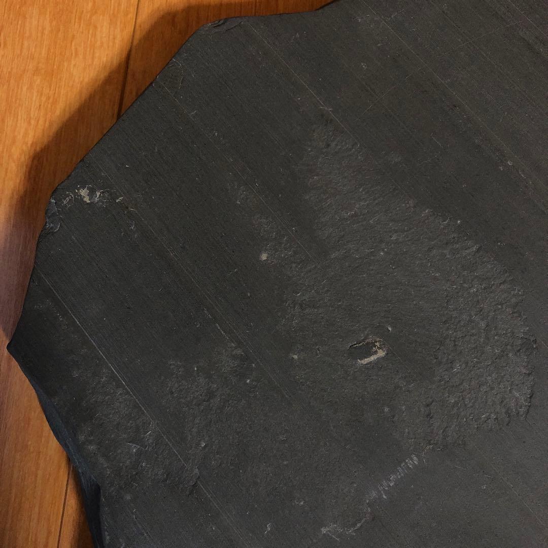 アンモナイト化石