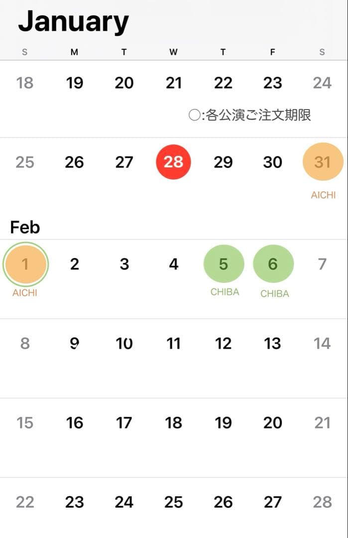 seventeen ペンライトカバー オーダー