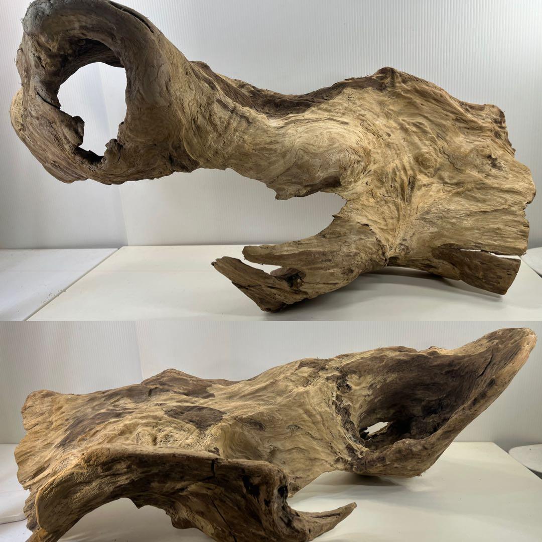 m61特大流木 アク抜き済み 爬虫類シェルター レイアウト用 登り木 インテリア