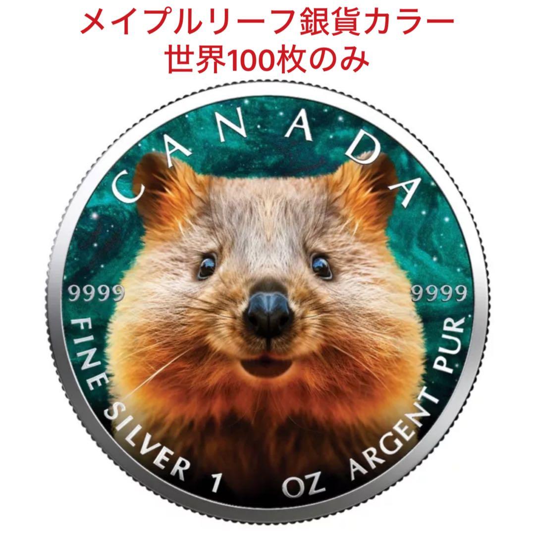【世界100枚限定！】メイプルリーフ 銀貨 カラー クォッカワラビー 1オンス