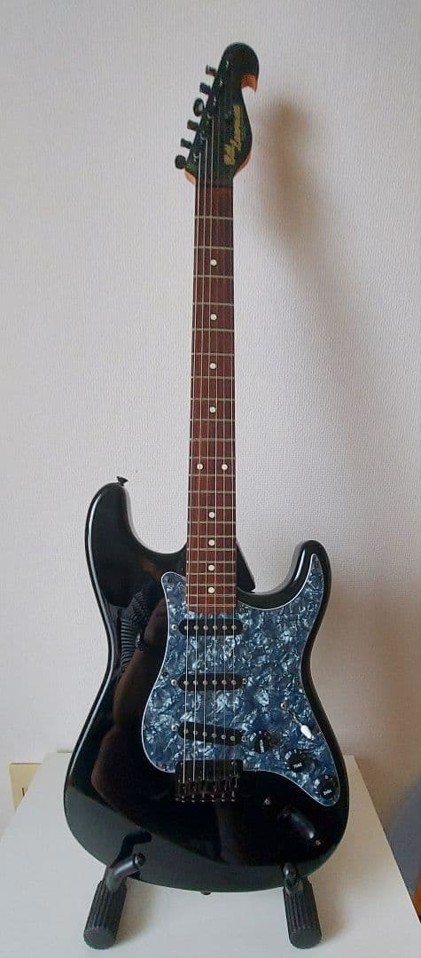 Bill Lawrence ビルローレンス BCOR-55B改　ハードケース付