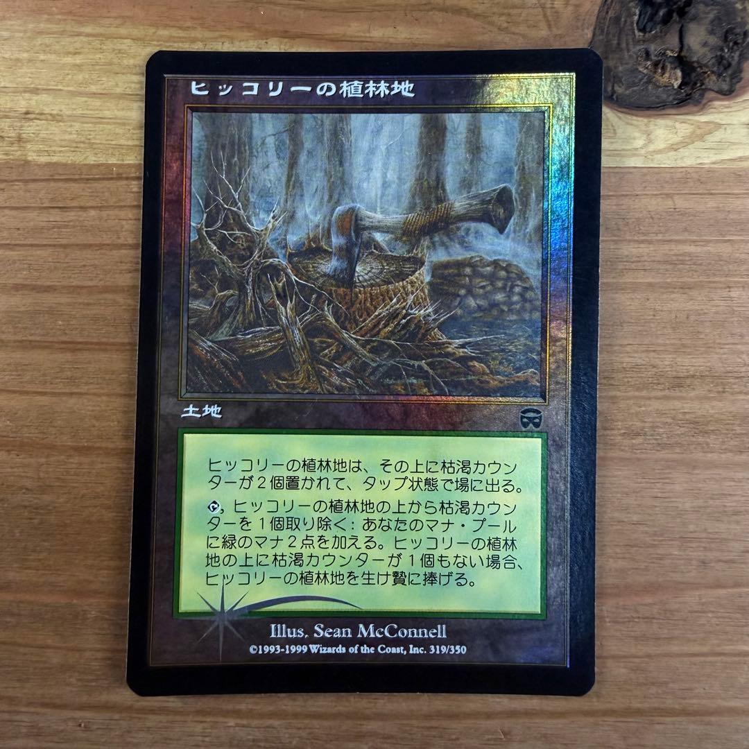 ヒッコリーの植林地 Hickory Woodlot 日本語 foil MTG