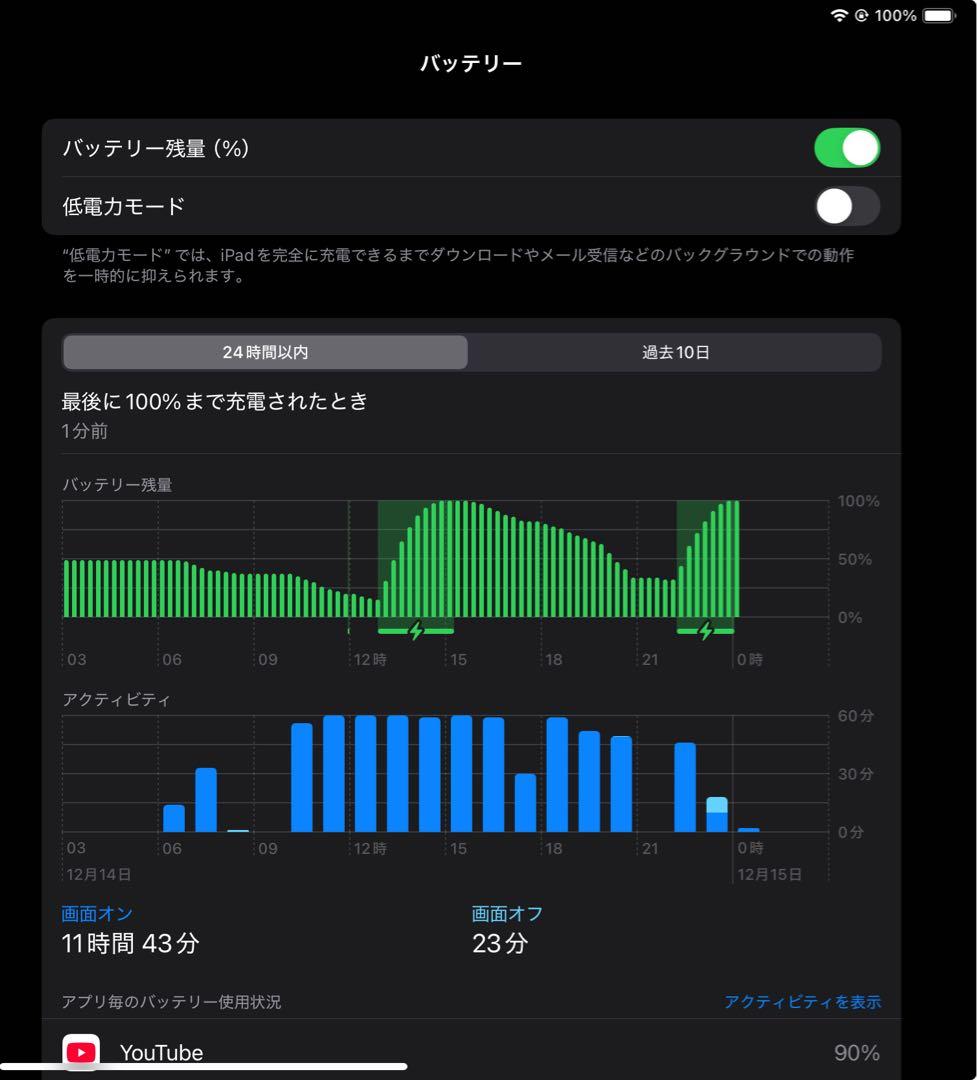 【9万円相当・美品】256GB iPadPro第1世代 11インチ大容量