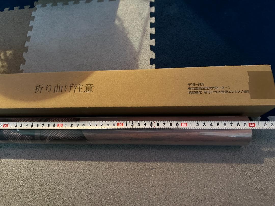 【未使用品】磯山さやか 等身大ポスター 月刊アサヒ芸能エンタメ! /元箱あり