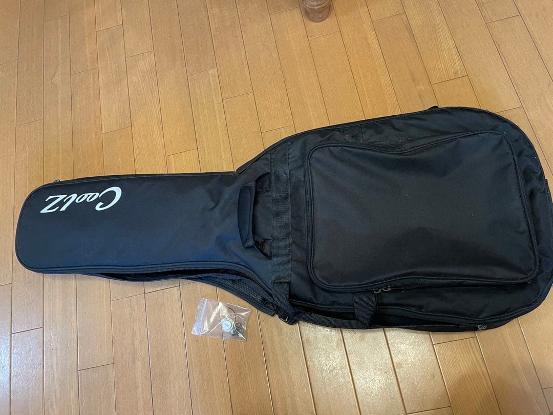 coolz ストラト フジゲン製 lpb