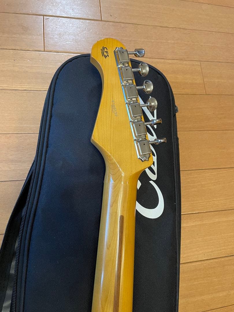 coolz ストラト フジゲン製 lpb