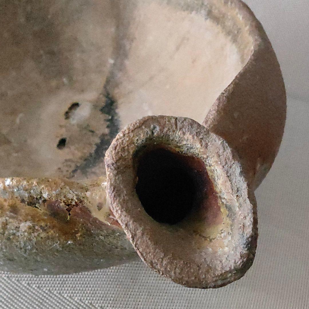 越前　鉢　西浦武