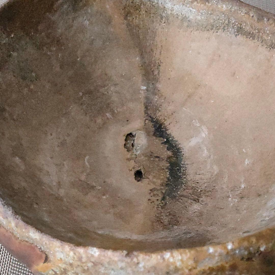 越前　鉢　西浦武