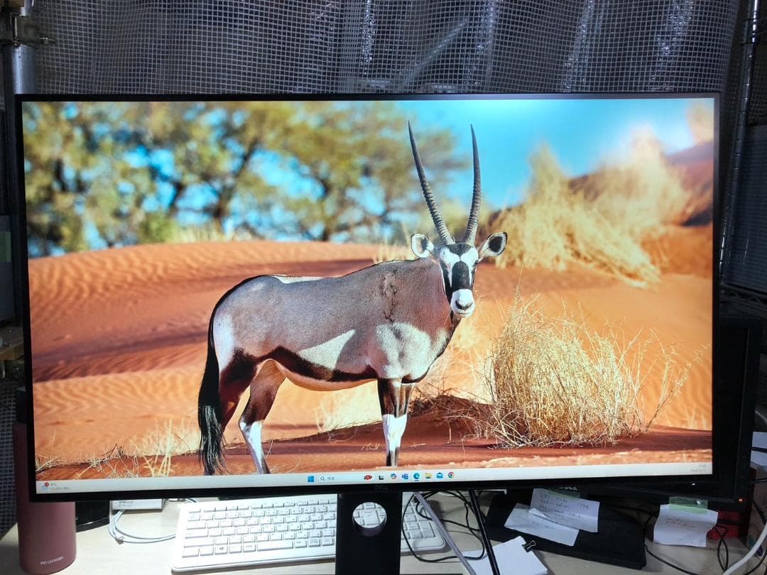 北海道送料込K☆1061 DELL 4Kディスプレイモニター U3219Q