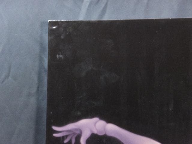 現代アート　小岩敬之　直筆サイ『ワ・タ・シ・コ・ワ・レ・ル・ヨ』油彩 0603O