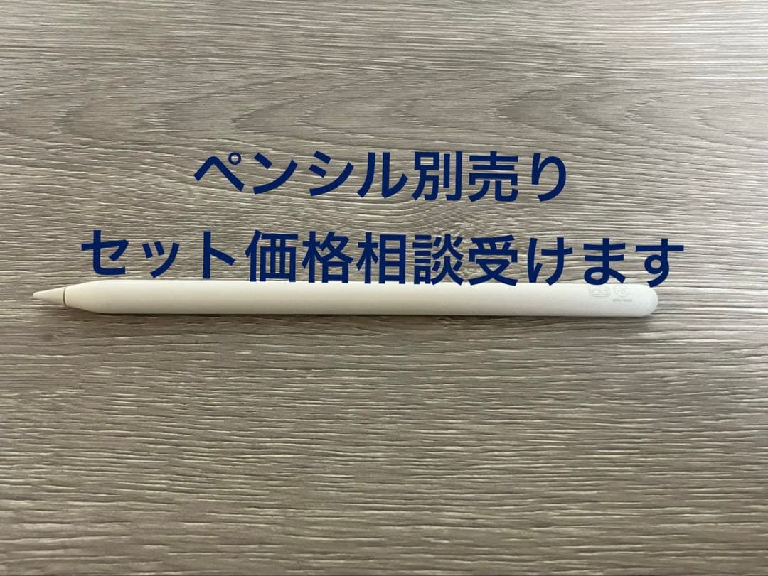 Cellularモデル iPad Pro 11インチ 第2世代 256GB