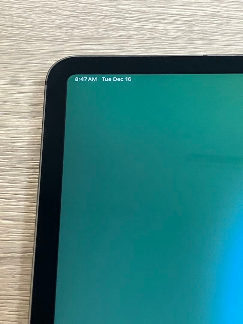 Cellularモデル iPad Pro 11インチ 第2世代 256GB