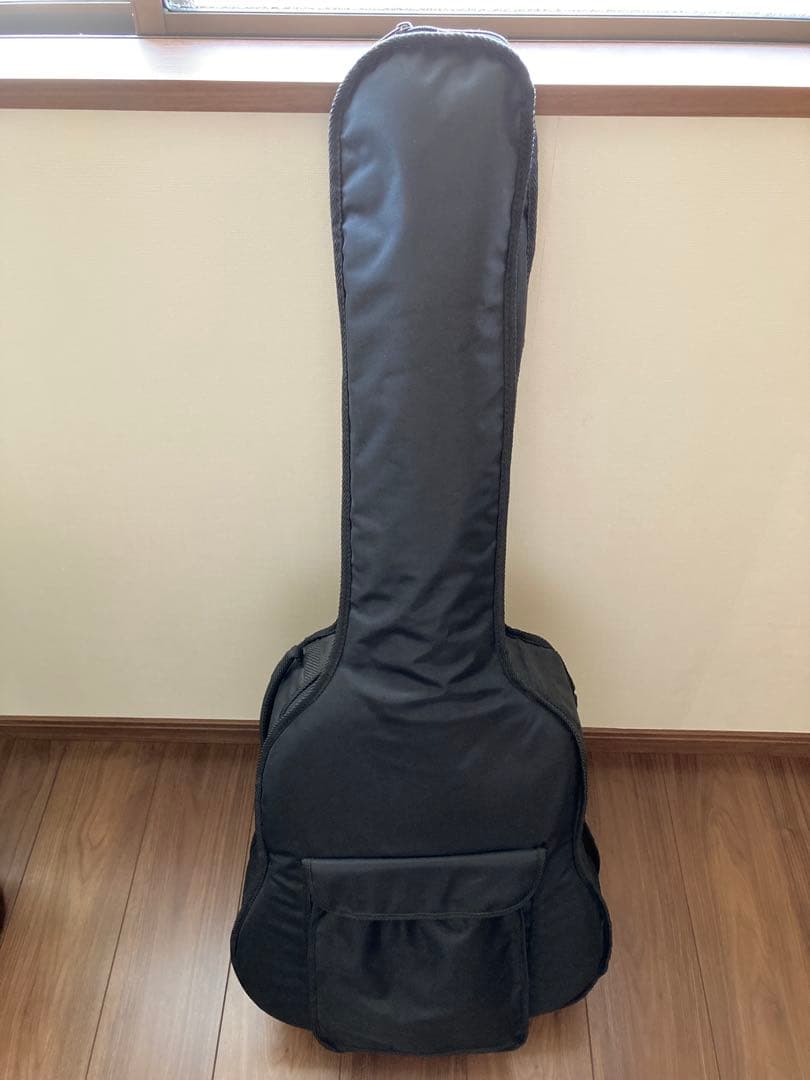 ◾️極美品 Aria アコースティックギター ◾️ソフトケース・教本2冊付