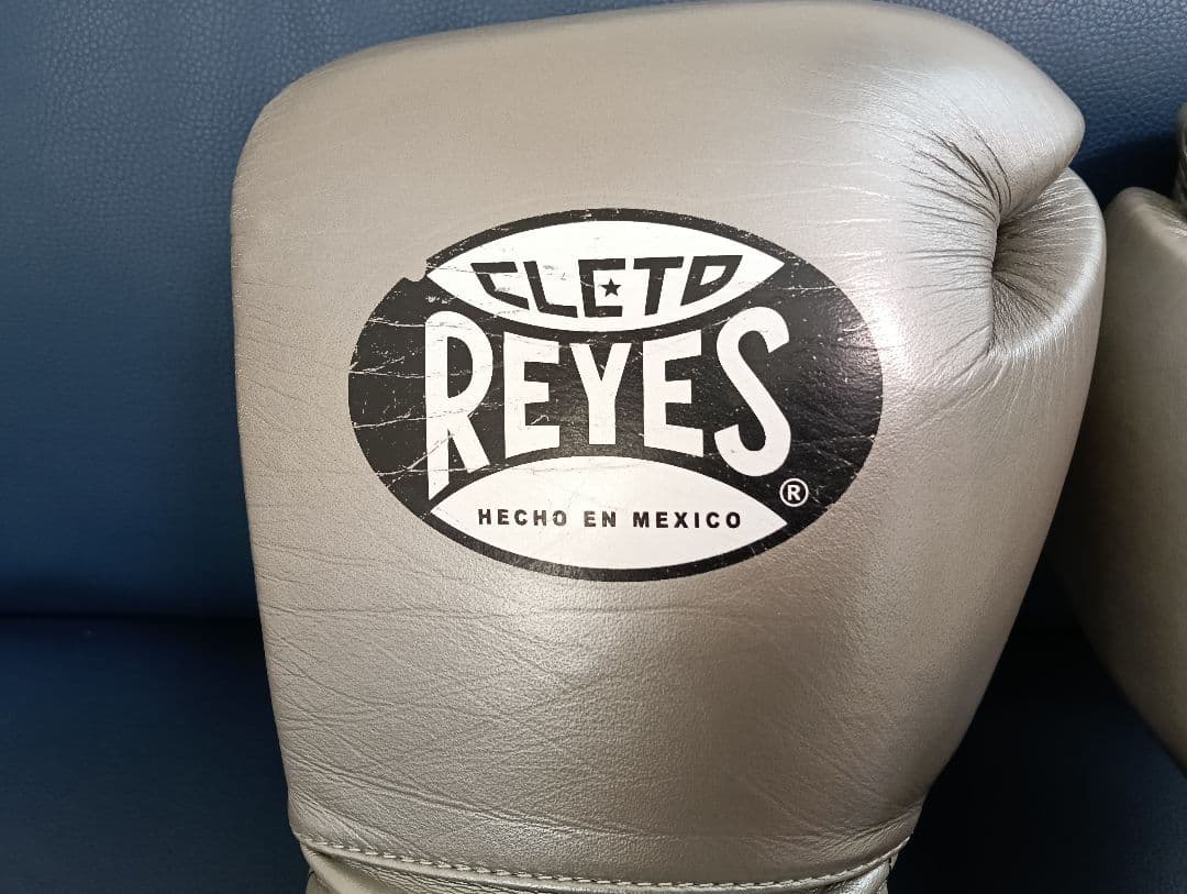 CLETO REYES プロフェッショナル ボクシンググローブ シルバー