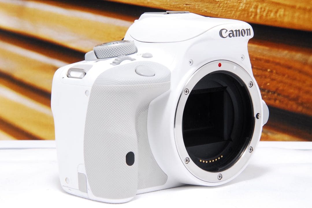 人気のホワイト！ Canon EOS kiss X7 スマホ転送 STMレンズ