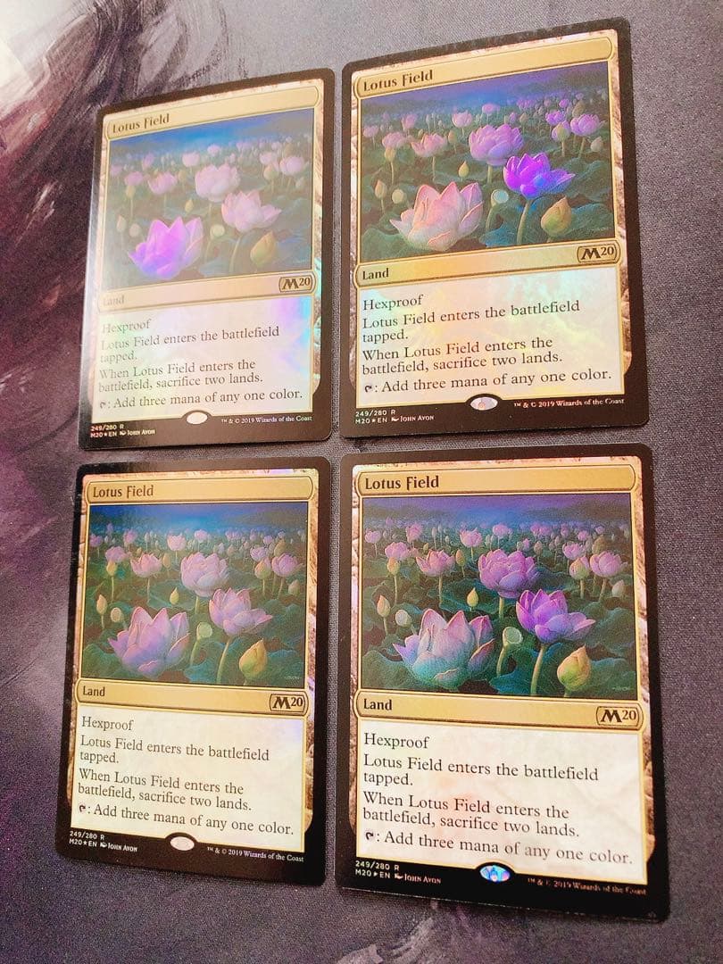 【foil】睡蓮の原野　英語　4枚セット