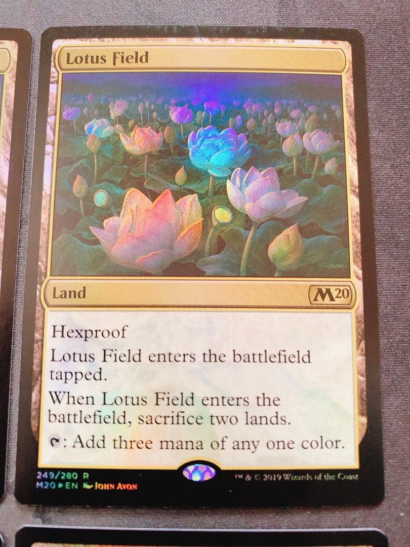 【foil】睡蓮の原野　英語　4枚セット