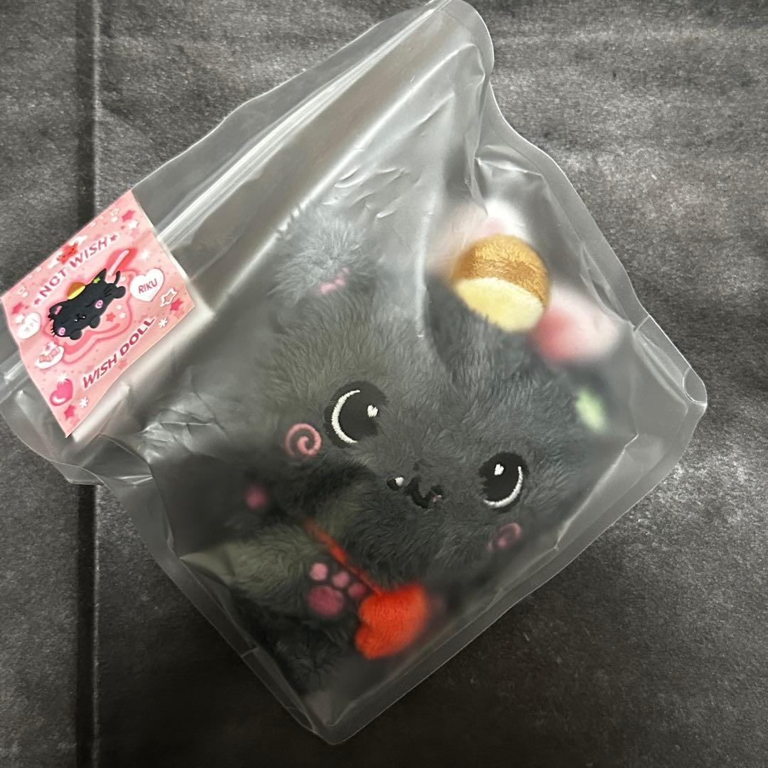 NCT WISH DOLL ぬいぐるみ リク RIKU 新品未開封