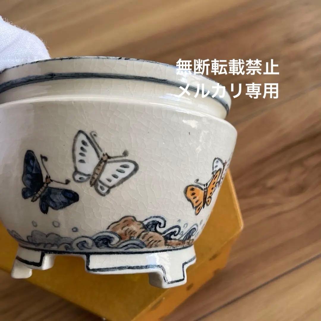 盆栽鉢　丸鉢　絵鉢　桑津香石　蝶柄　山野草　小品盆栽
