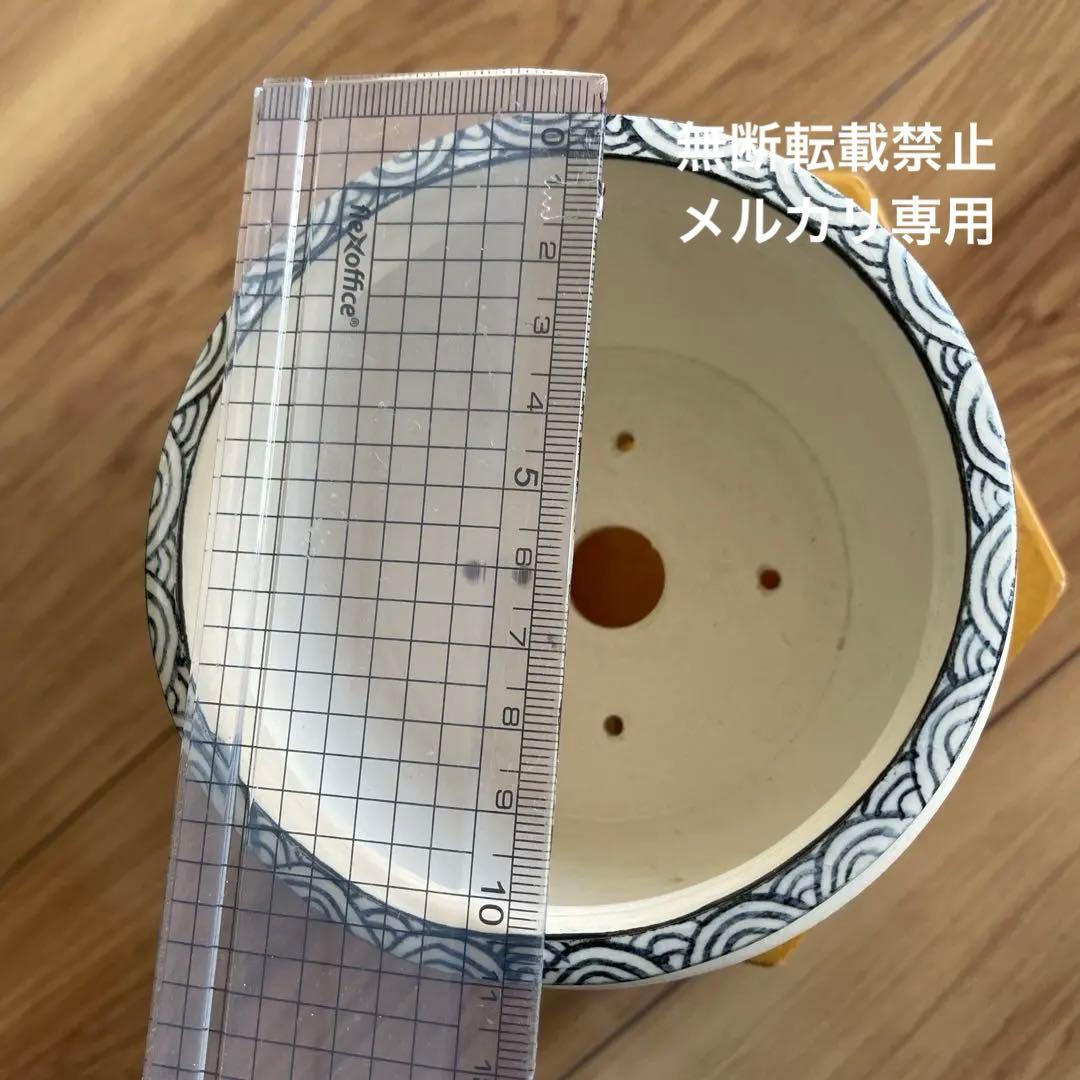 盆栽鉢　丸鉢　絵鉢　桑津香石　蝶柄　山野草　小品盆栽