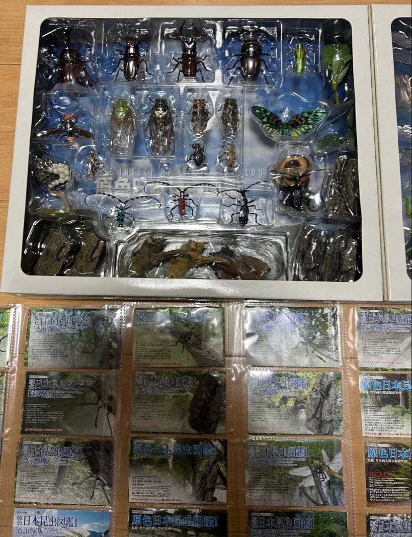 原色日本昆虫図鑑 Ⅰ Ⅱ コレクションBOX Ⅰ Ⅱ フルコンプセット