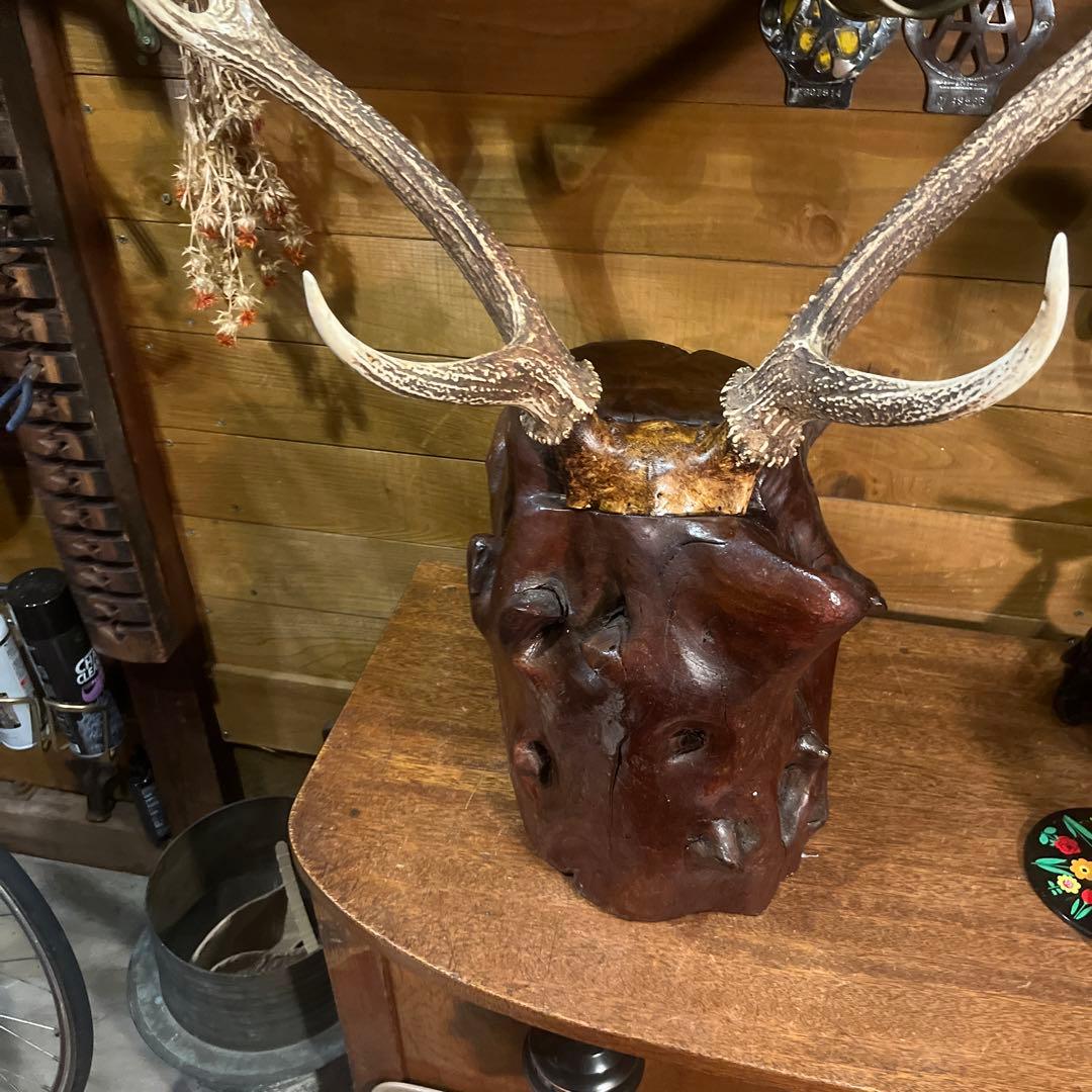 ヴィンテージ迫力満点！鹿ツノ丸太