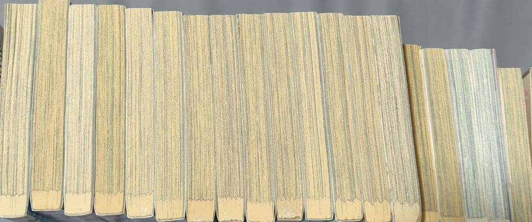 英語版　いちご100%　全巻セット