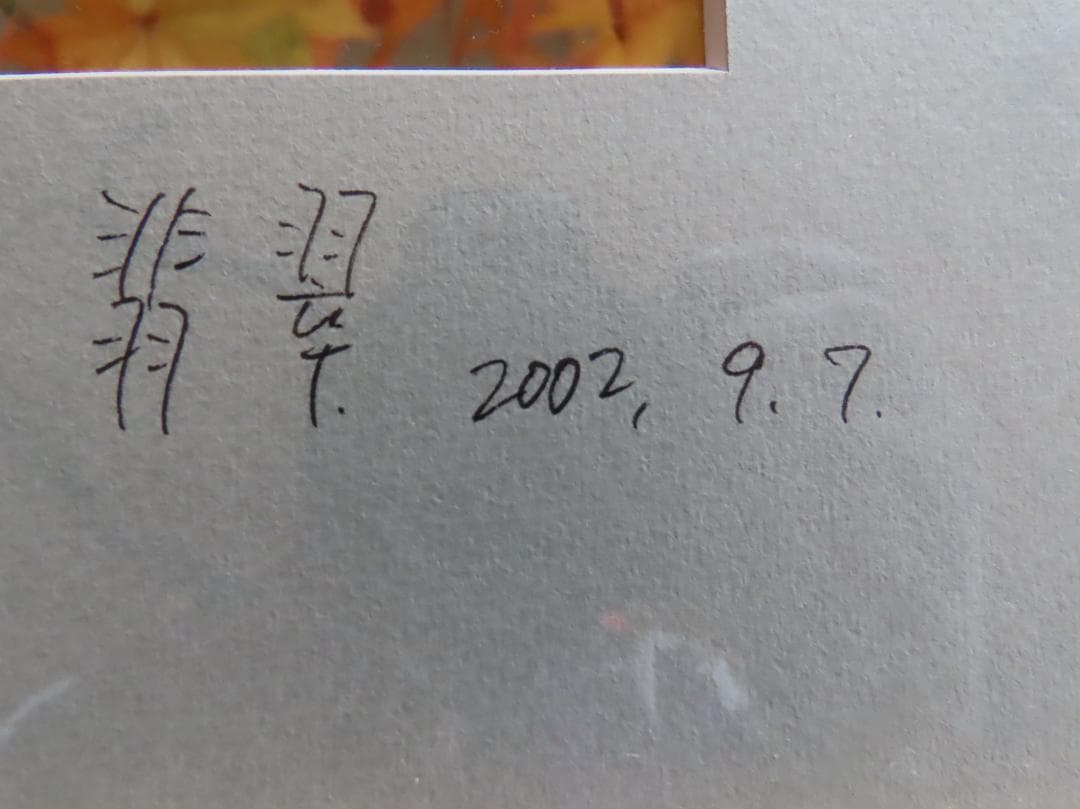 野鳥写真家若尾ちかしさんの額装カワセミ写真　おまけにクマタカ3枚イラスト5枚