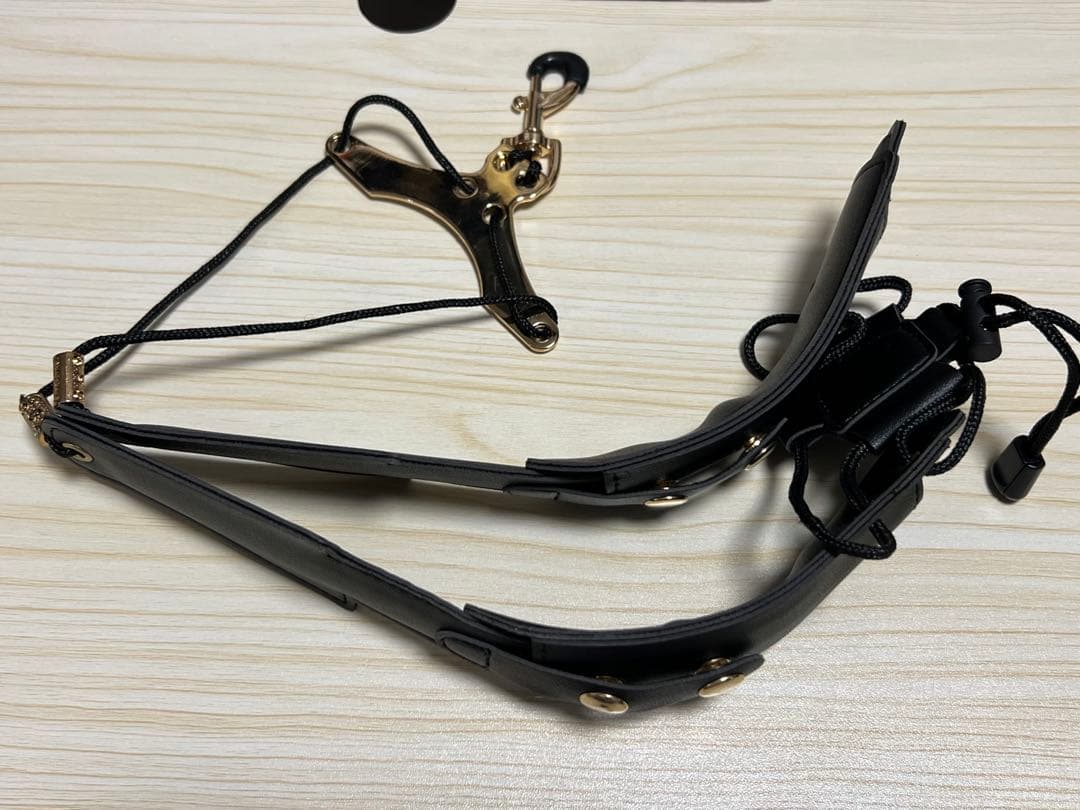 アルトサックス用備品セット　スタンド、マウスピース、リード、ストラップ等