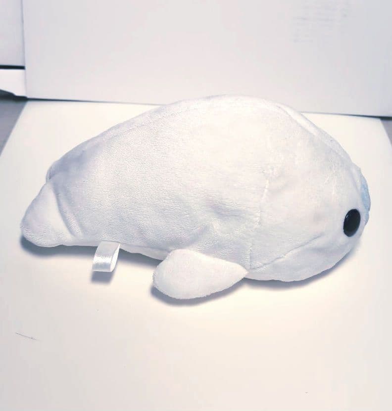 まめゴマ　2種セット　白＆水色