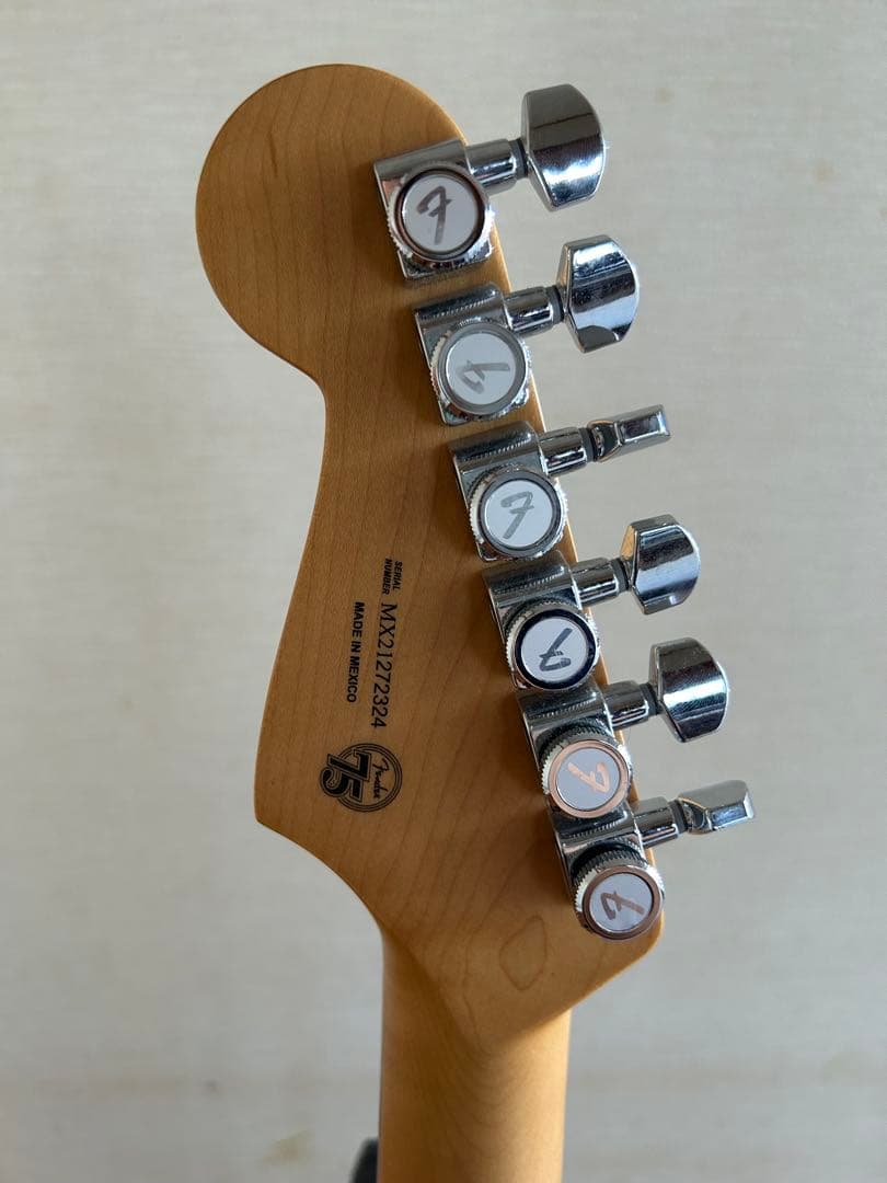 ギター Fender Player Plus Stratocaster