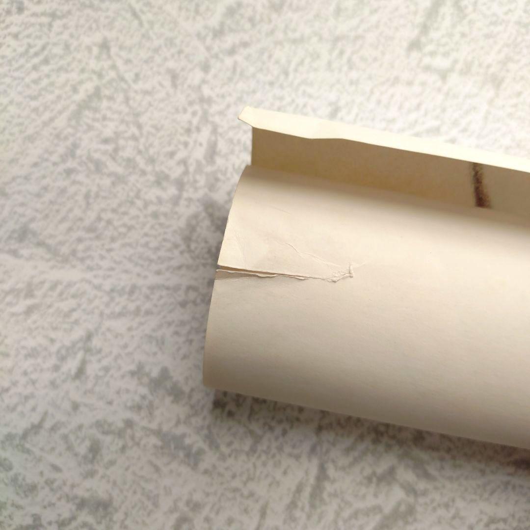 激レア 覇王大系リューナイト アデューレジェンド 直筆サイン入 非売品 ポスター