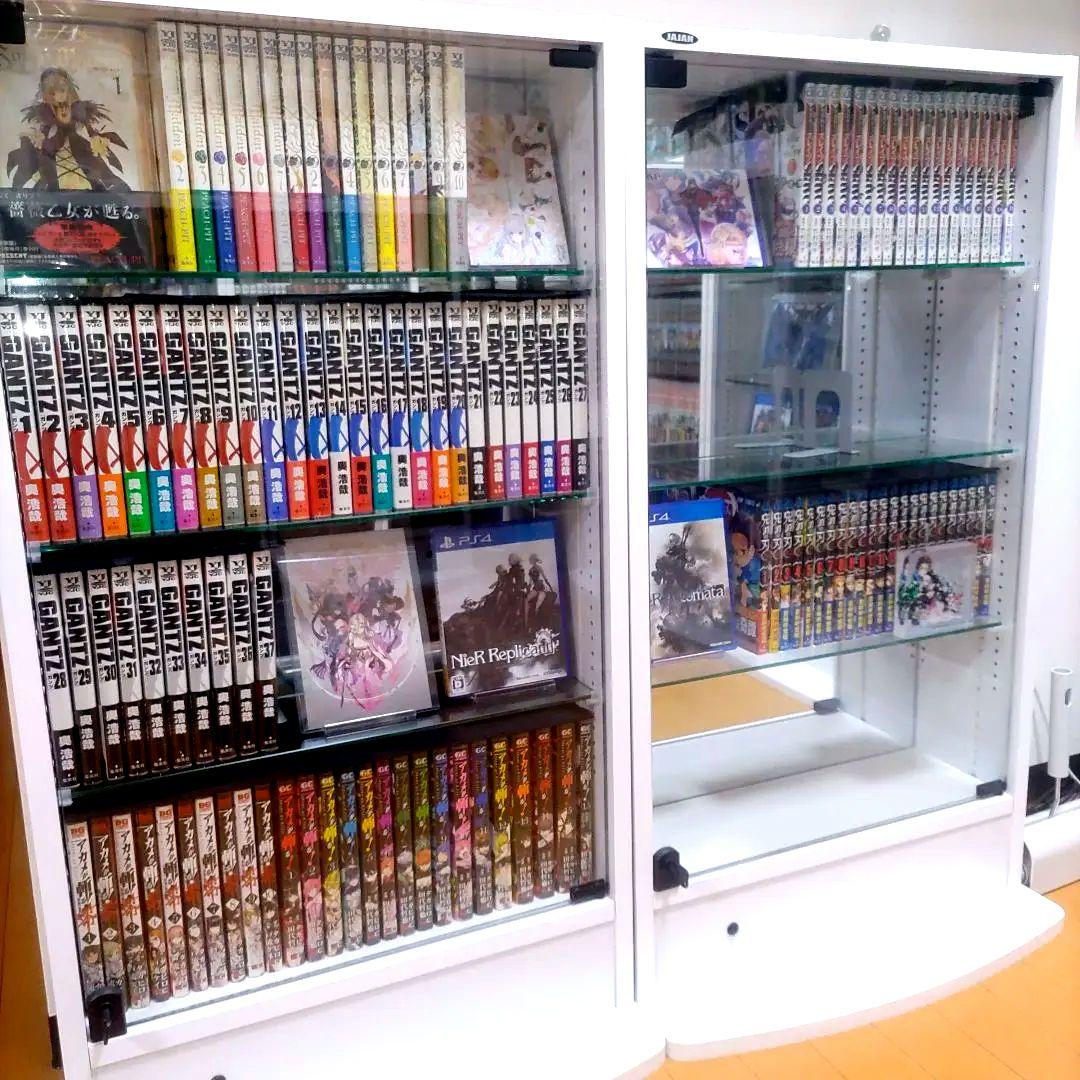 JAJAN コレクションラック レギュラー ロータイプ 幅55cm×奥行19cm