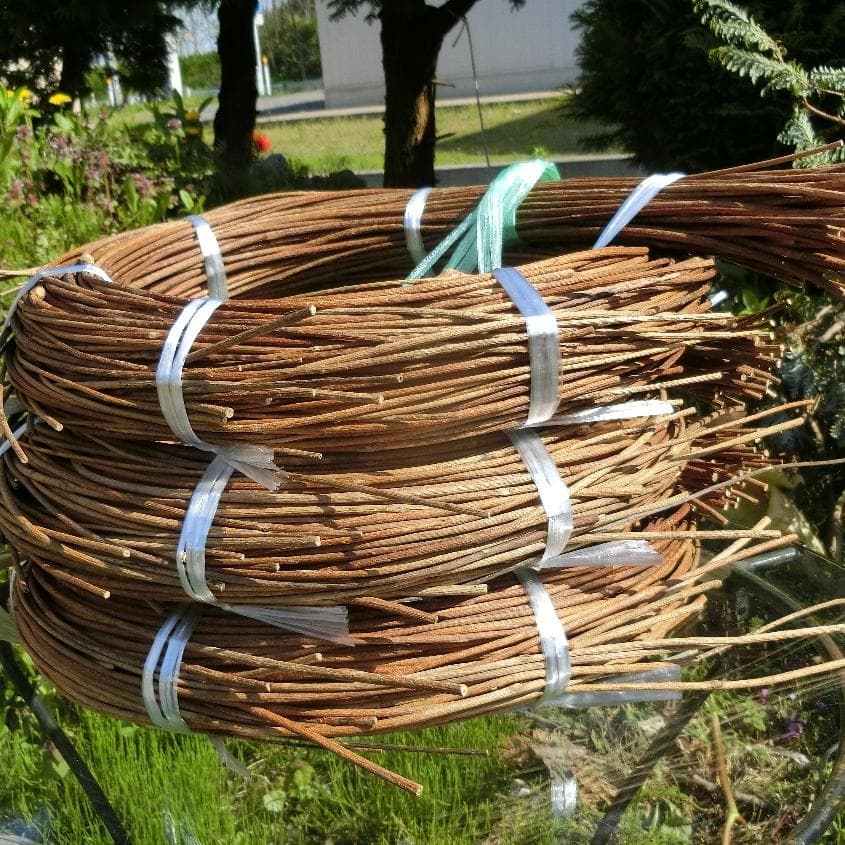 michifurano213　青森岩木山　あけび蔓　150cm～ 3kg