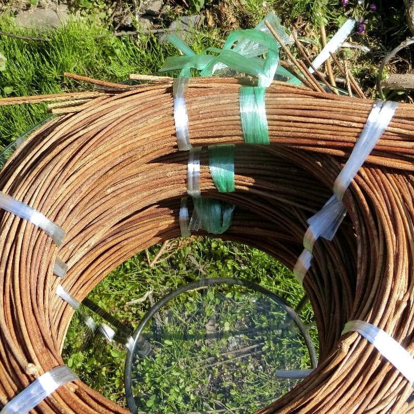 michifurano213　青森岩木山　あけび蔓　150cm～ 3kg