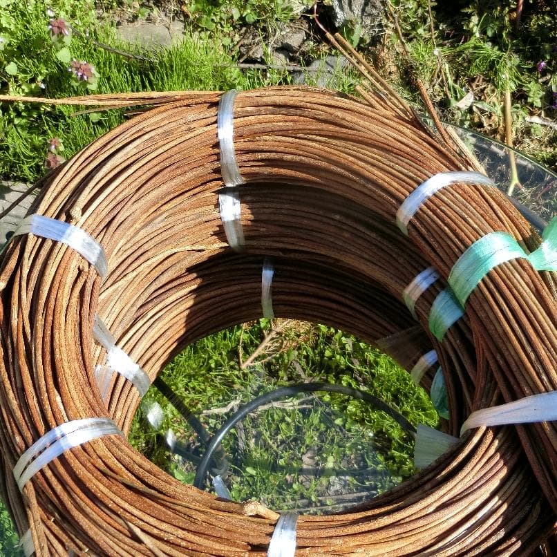 michifurano213　青森岩木山　あけび蔓　150cm～ 3kg